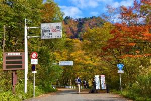 日本最美月季花園——中之島公園