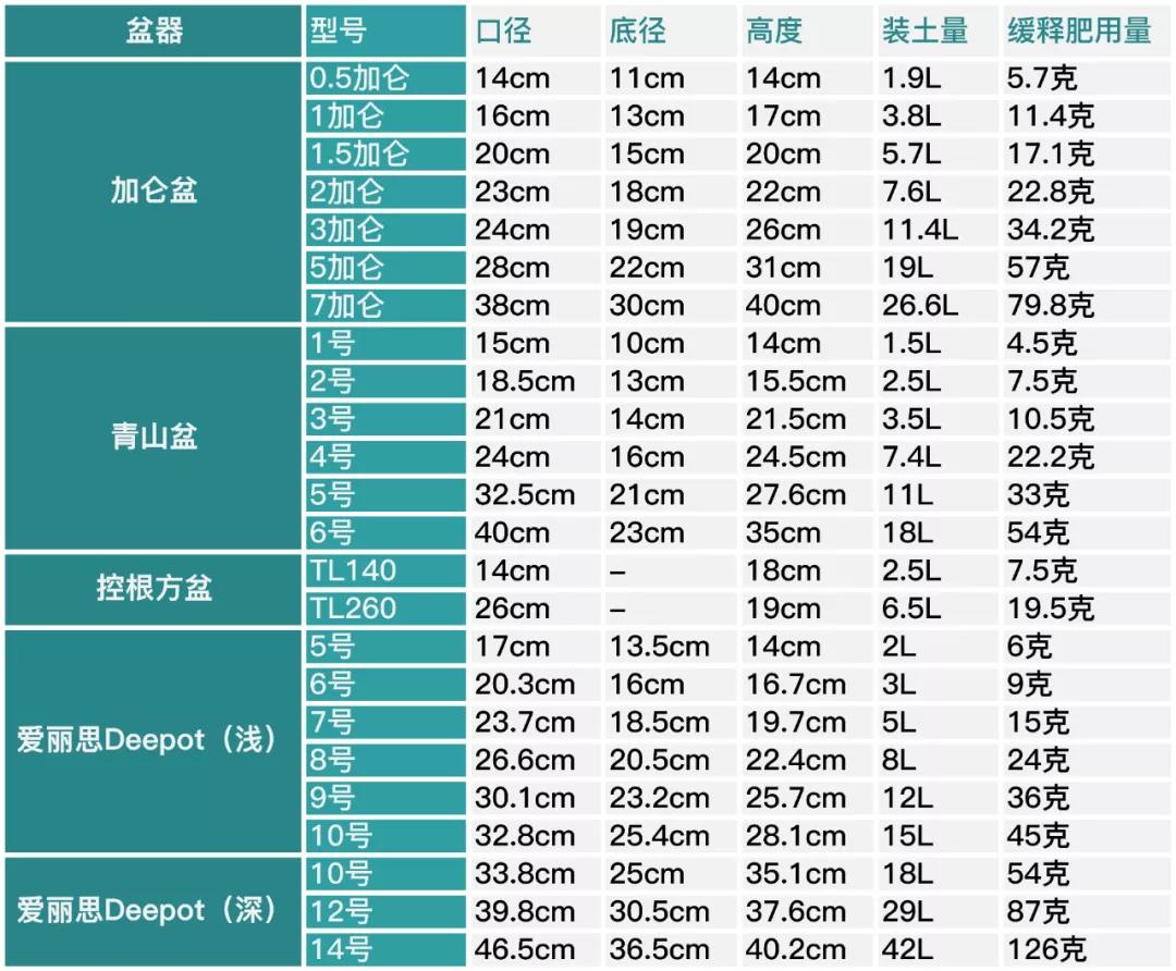 月季秋季復花指南