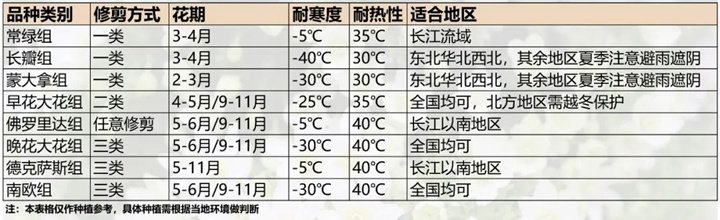 鐵線蓮的品種如何來(lái)選擇(不同組類鐵線蓮的區(qū)別)