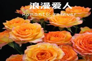 浪漫愛(ài)人Romantic Rosever