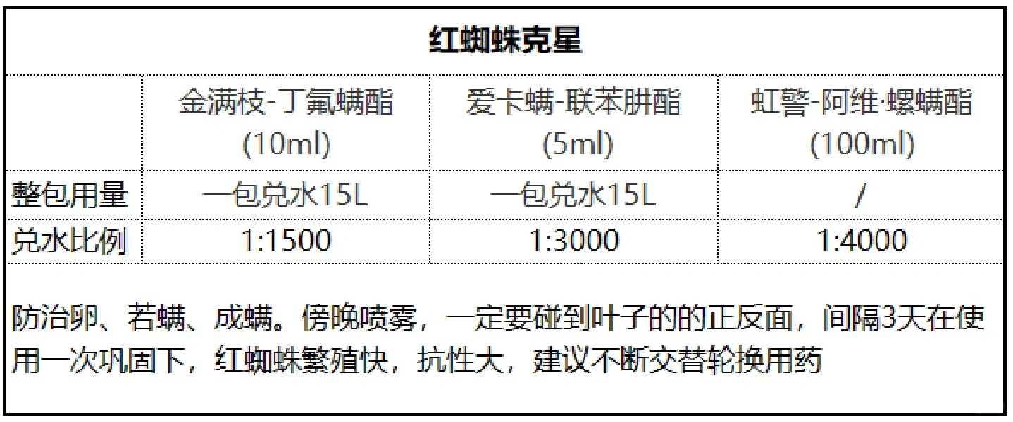 月季花噴什么農(nóng)藥最好