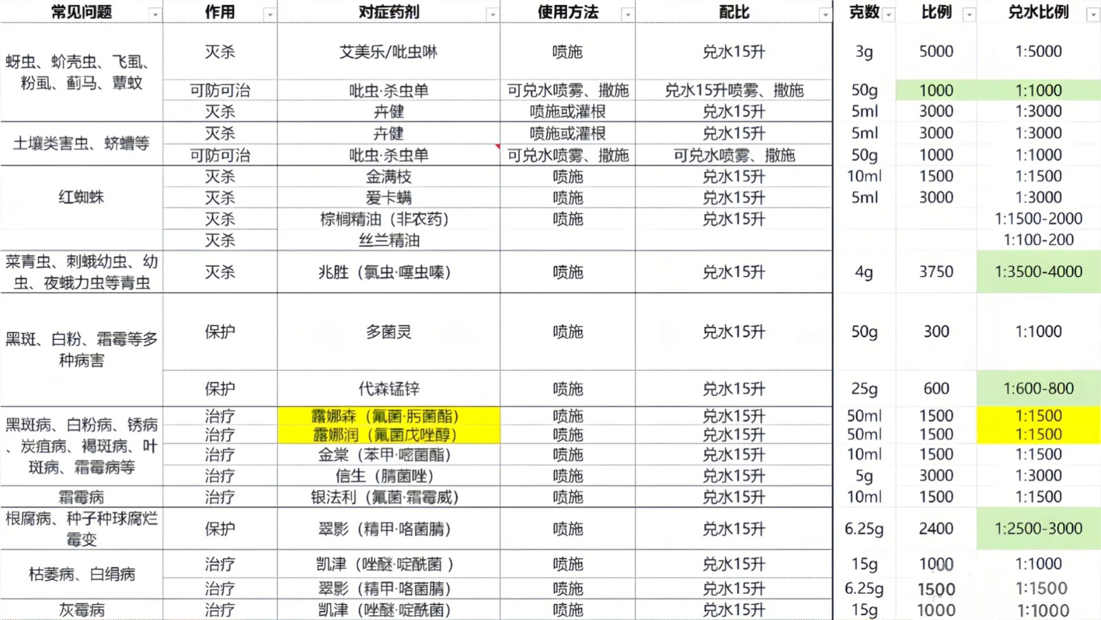 月季花噴什么農(nóng)藥最好