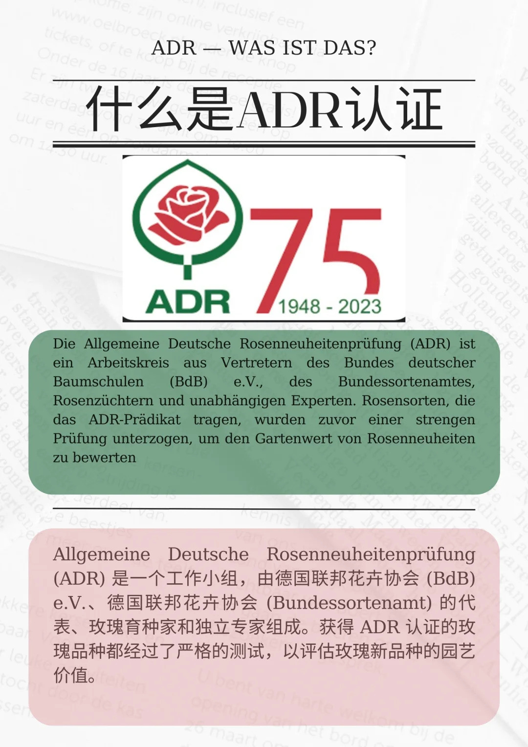 什么是ADR認(rèn)證，ADR月季官網(wǎng)名單