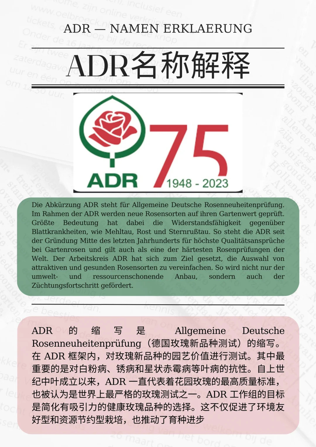 什么是ADR認(rèn)證，ADR月季官網(wǎng)名單