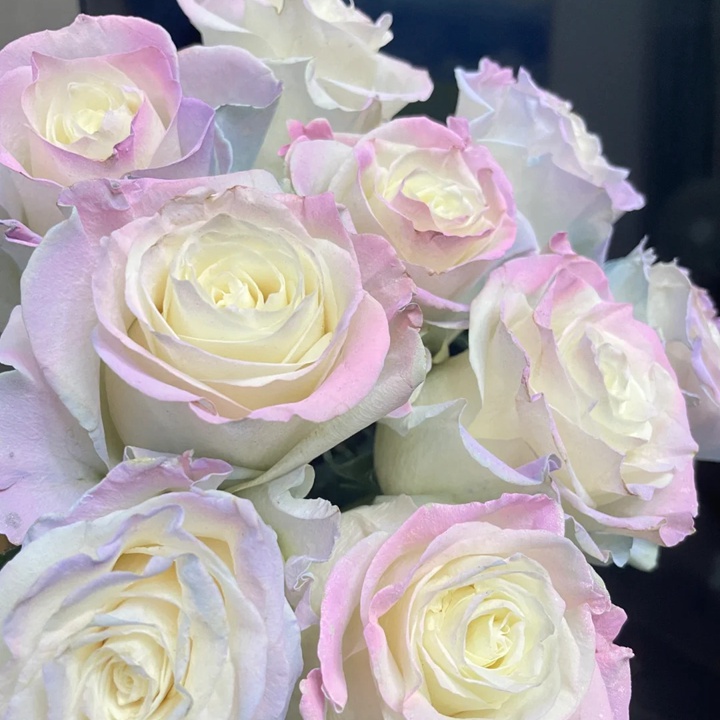 歐若拉極光 Aurora Roses Bouquet