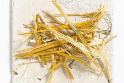 養(yǎng)花鋪面覆蓋物的種類及作用