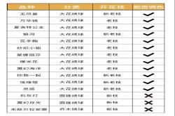 繡球修剪指南——8月繡球這么剪，爆花不再難