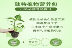 美樂(lè)棵怎么那么貴