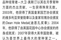 為一個(gè)優(yōu)秀的月季品種正名—自由精神