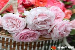 克里斯汀船長(zhǎng)