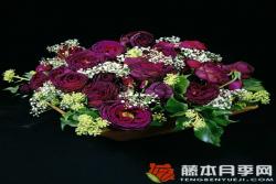 哈登伯格伯爵夫人Gr?fin von Hardenberg