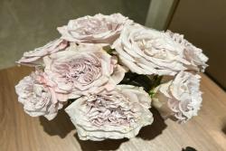 佩特拉 Petra
