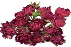紅茶?？?> </a> </div></li><li><div   id=