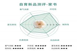 家書(又名翻譯家)