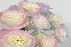 歐若拉極光 Aurora Roses Bouquet